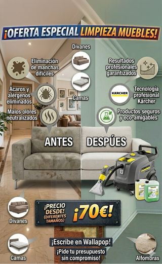 Limpieza de Sofás, Colchones y Alfombras a Domicil