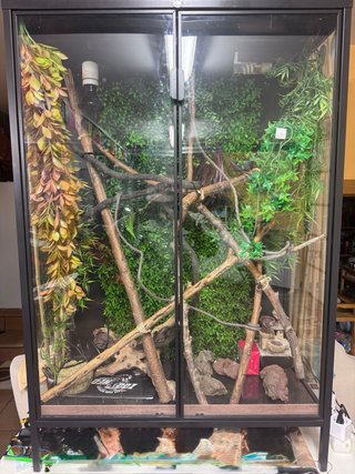 Terrario para camaleón/reptil