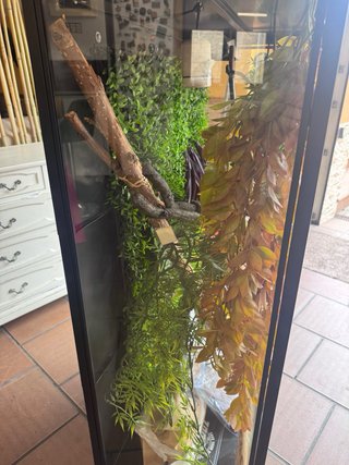Terrario para camaleón/reptil