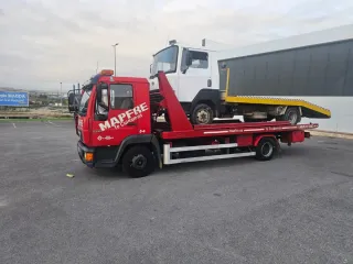 Grua porta coches