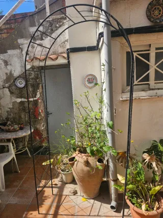 Arco de jardín metálico negro