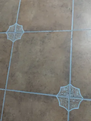Estoy buscando este azulejo