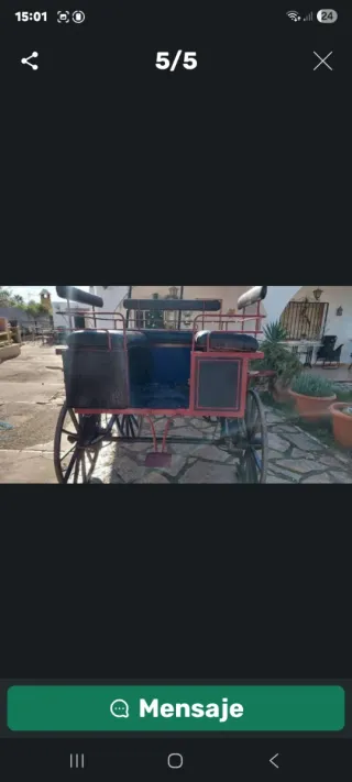 Carruaje de caballos