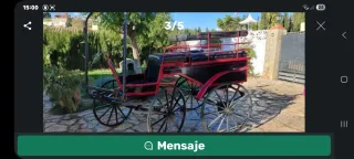 Carruaje de caballos