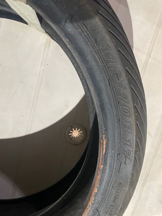 Neumáticos Moto Dunlop Radial 115/70 R17