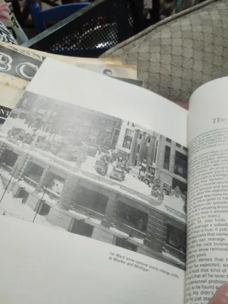 Revista de ventisca 1979 chicago