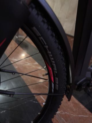 Bicicleta Eléctrica Gepida