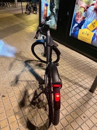 Bicicleta Eléctrica Gepida