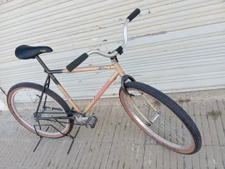 Lote Bicicletas Montaña y carretera