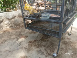 Jaula grande para loros, agapornis, etc.