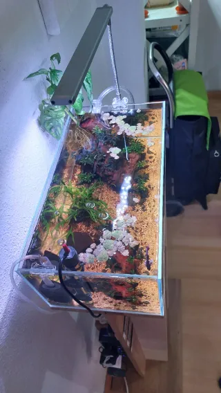 vendo acuario TODO INCLUIDO.