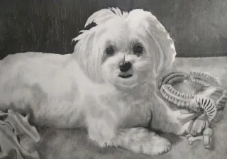 Retratos hechos a encargo