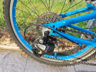 Bicicleta infantil Trek Wahoo 20