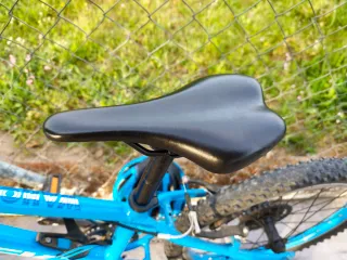 Bicicleta infantil Trek Wahoo 20