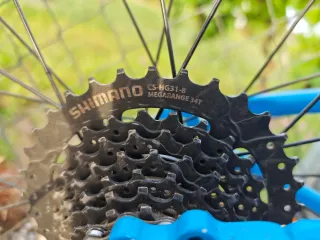 Bicicleta infantil Trek Wahoo 20