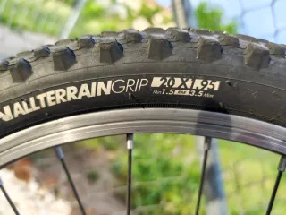 Bicicleta infantil Trek Wahoo 20