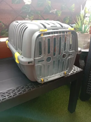 Lote Arenero gatos y transportín. Con REGALITO ...