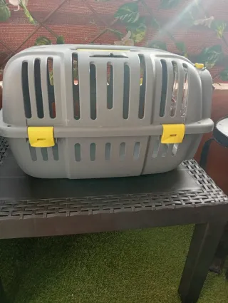 Lote Arenero gatos y transportín. Con REGALITO ...