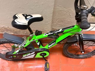 Bicicleta infantil Dino Bikes 14