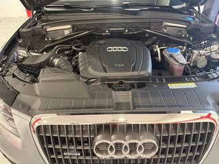 Audi Q5 2.0 TDI 170 CV quattro DPF