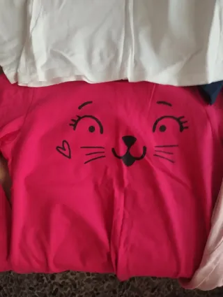 Lote 4 Camisetas Niña Manga Larga