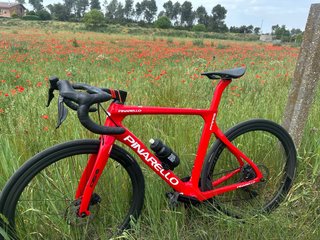 Pinarello Paris Talla M 2024