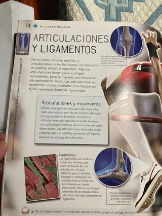 Libros Estrellas y Planetas y Cuerpo Humano