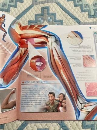 Libros Estrellas y Planetas y Cuerpo Humano