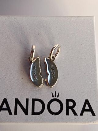 Charm Mariposa Alas
