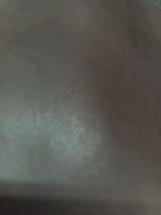 Falda de vaquetilla de cuero