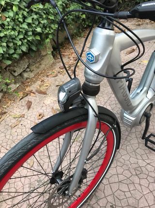 Bici elettrica a pedalata assistita