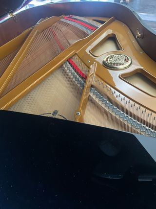 Piano de cola Petrof Modelo III (193cm)