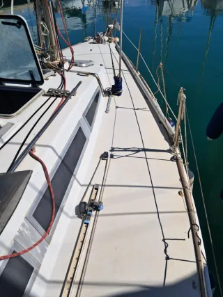 Velero North Wind 310