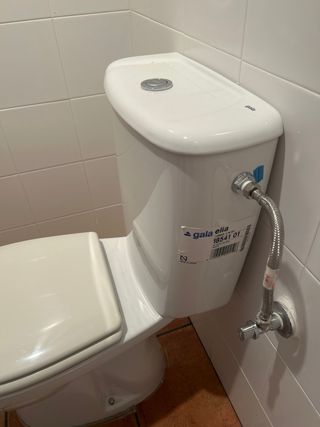 Taza de WC de porcelana blanca
