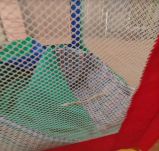 Parque Cuna Prenatal