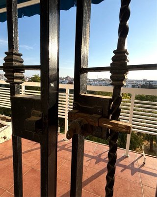 Rejas de hierro forjado de seguridad