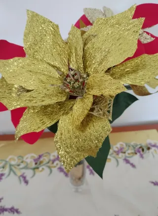 Alquiler de habitación, solo para mujer