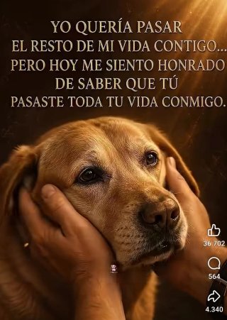 Cuidador de perros