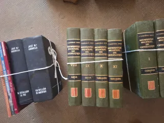 Lote de libros antiguos