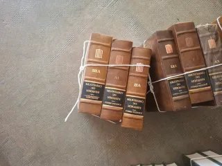 Lote de libros antiguos