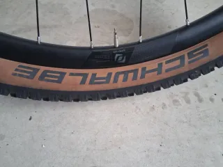 Rueda 29 Syncros con cubierta Schwalbe