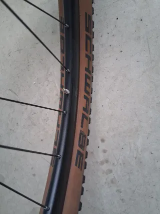 Rueda 29 Syncros con cubierta Schwalbe