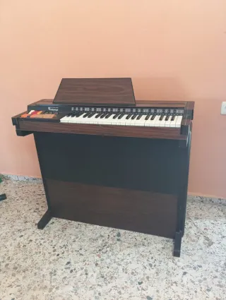 Órgano Electrónico Bontempi