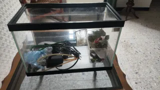 Pecera de cristal