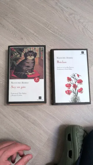 Natsume Soseki. Botchan y Soy un gato