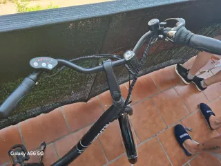 Bicicleta eléctrica Waycscral