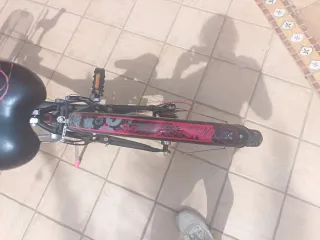 Bicicleta con diseño de rosa