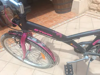 Bicicleta con diseño de rosa