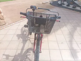 Bicicleta con diseño de rosa