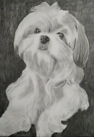 Retratos realistas a lápiz